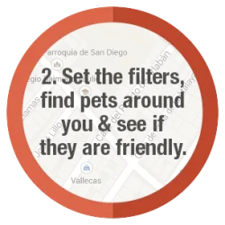 Set the filters